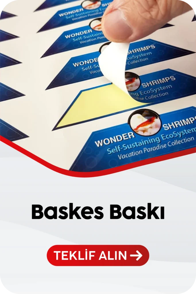 baskes baskı