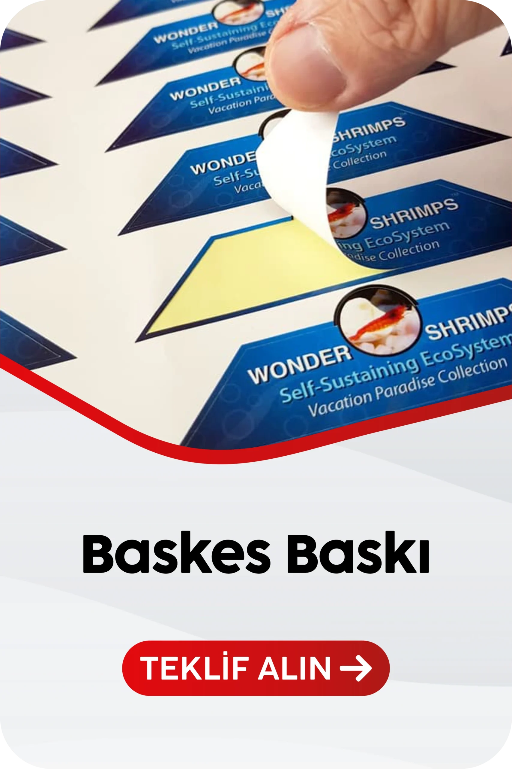 baskes baskı
