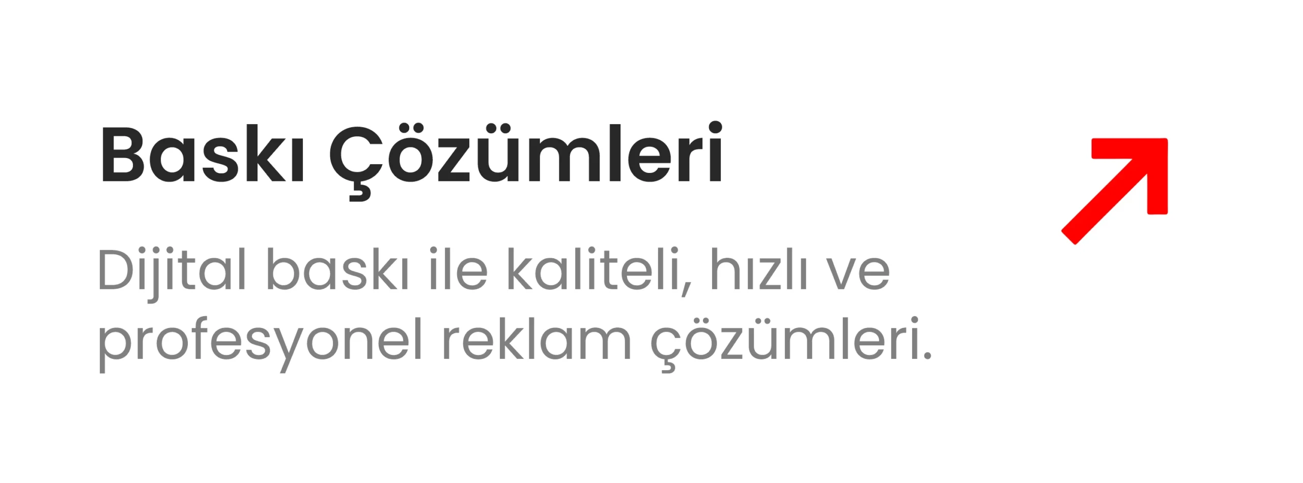 baskı çözümleri